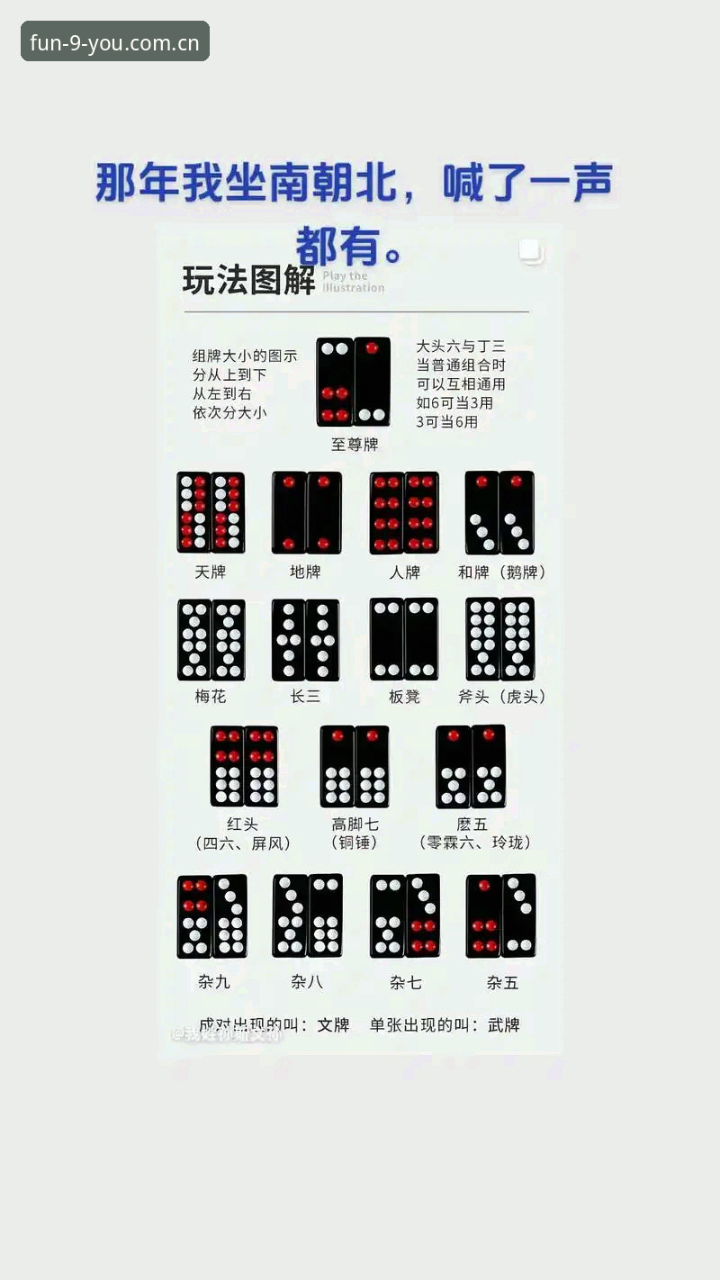 最新九游娱乐棋牌官网使用教程：从下载到对局的创新玩法指南